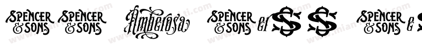 SS Amberosa Serif Regular字体转换